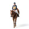 Pink Rose Organix Horse Feed Fast Energy Muscle Recovery-5
