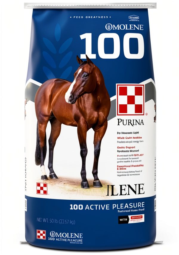 PAN Horse Food Whole Grain Nutrition Gastric Support-1