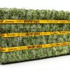 Standlee Horse Food 8% Protein Senior Friendly Forage-0