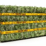 Standlee Horse Food 8% Protein Senior Friendly Forage-0