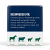 Standlee Horse Food 8% Protein Senior Friendly Forage-2