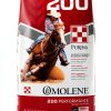 PAN Horse Food Whole Grain Nutrition Gastric Support-1