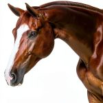 Pink Rose Organix Horse Feed Fast Energy Muscle Recovery-0