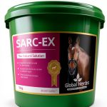 Global Herbs Horse Immune Supplement Nutritional Support-0
