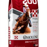 PAN Horse Food Whole Grain Nutrition Gastric Support-0