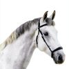 Triple Crown Equine Senior Feed Weight Gain Horse Nutrition-0