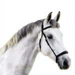 Triple Crown Equine Senior Feed Weight Gain Horse Nutrition-0