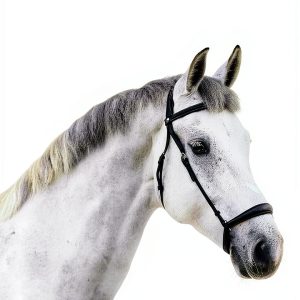 Triple Crown Equine Senior Feed Weight Gain Horse Nutrition-0