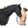 Kalmbach Feeds Horse Treats Soy Free Apple Pieces-3