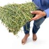 Standlee Horse Food 8% Protein Senior Friendly Forage-1