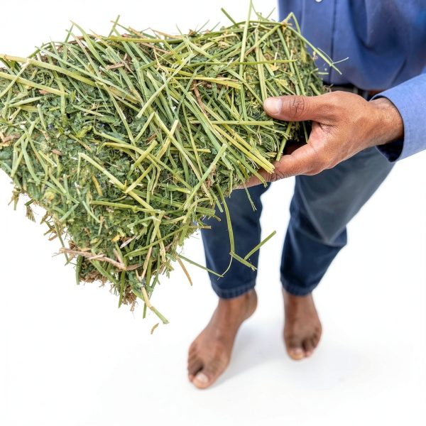 Standlee Horse Food 8% Protein Senior Friendly Forage-1