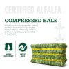 Horse Feed Standlee 16% Protein Low Carb Hay-1