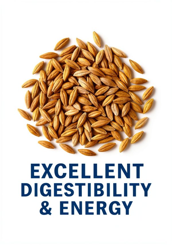 CountryMax Premium Barley Feed Grain for Livestock-1