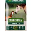 Standlee Hay Horse Food 10 Pounds Pet Supplies-0