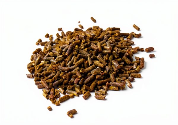 Senior Horse Pellets New Country Organics Flax Oil-0