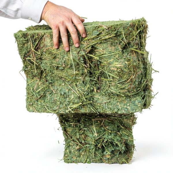 Horse Feed Standlee 16% Protein Low Carb Hay-3