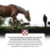 Purina Outlast Horse Supplement for Gastric Balance-5
