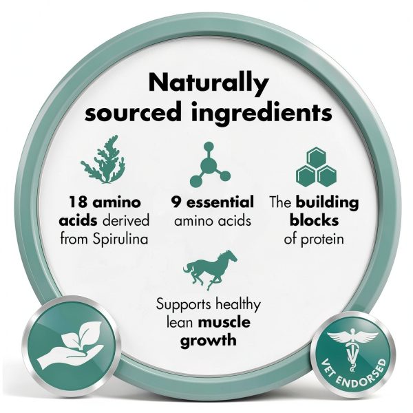 Equitop Myoplast Horse Feed Lean Muscle Protein-1